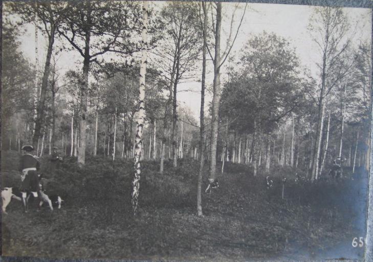 Equipage du duc de Chartres. Veneurs et chiens en forêt