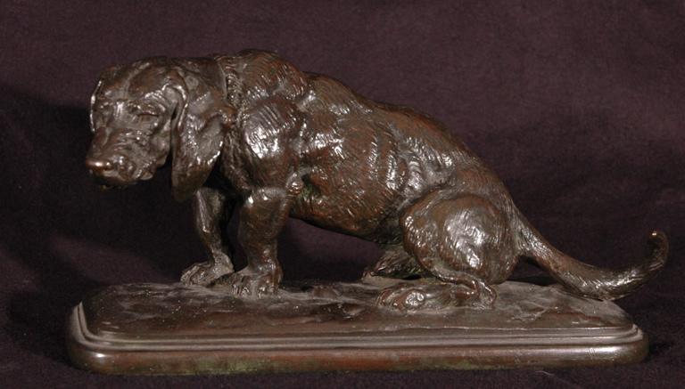 Chien basset