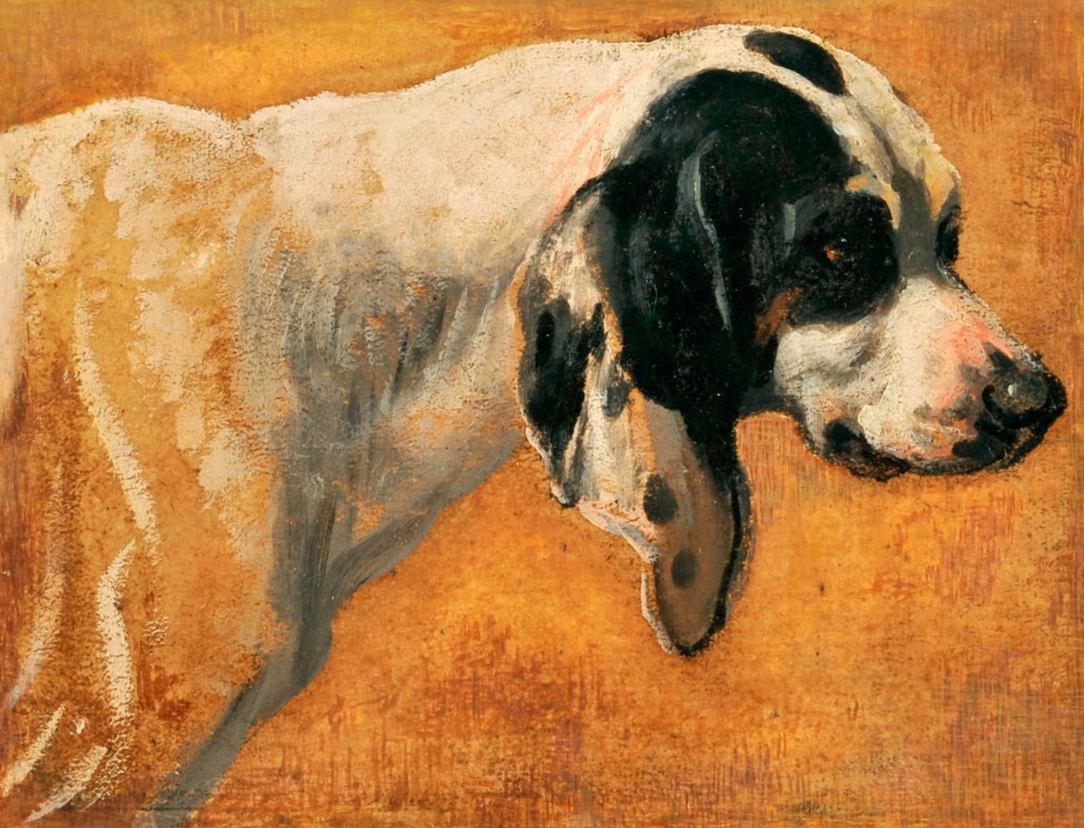 Chien de la meute du Grand Dauphin