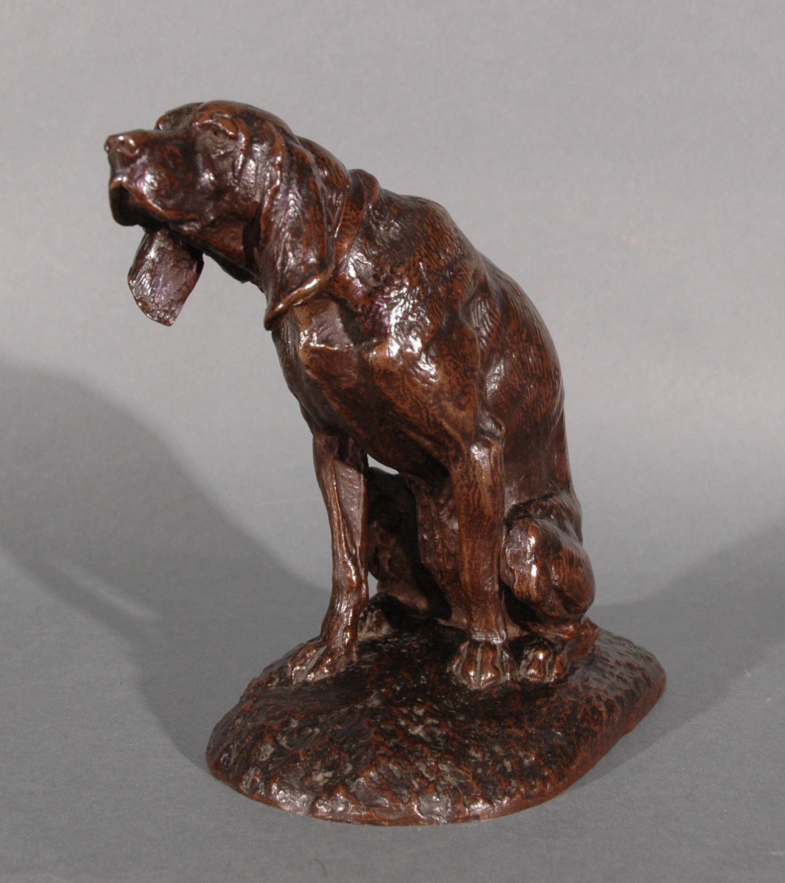 Chien limier assis