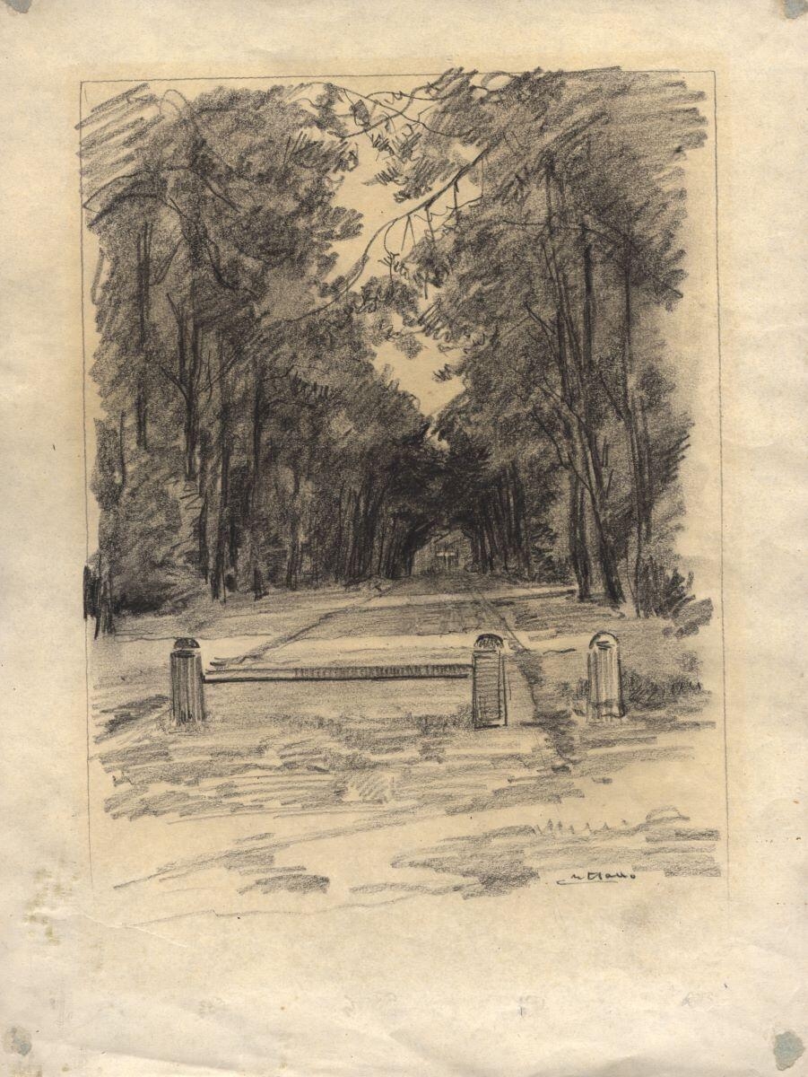 Chemin forestier