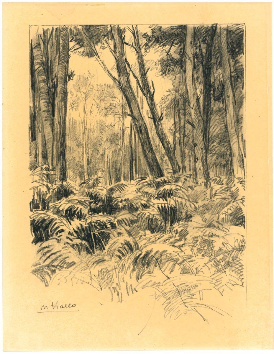 Sous-bois