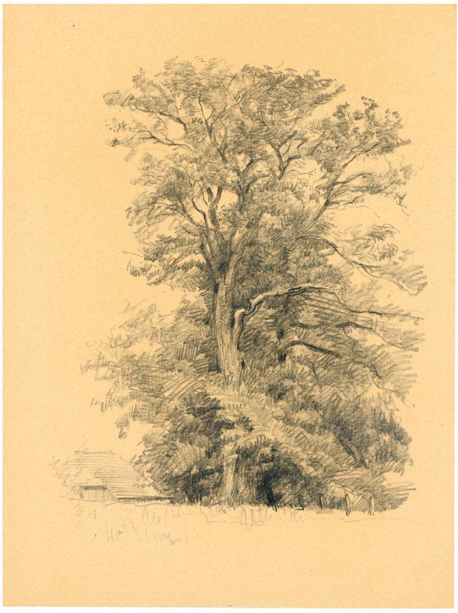 Maison en lisière d'un sous-bois