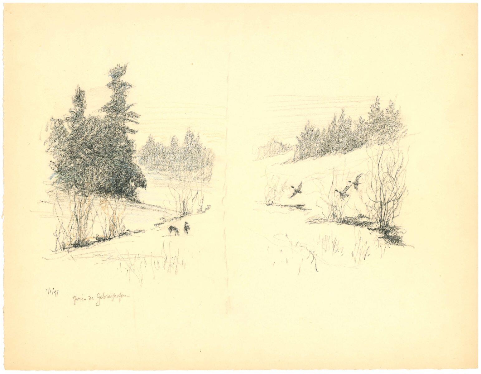 Études, près de Gebrazhofen