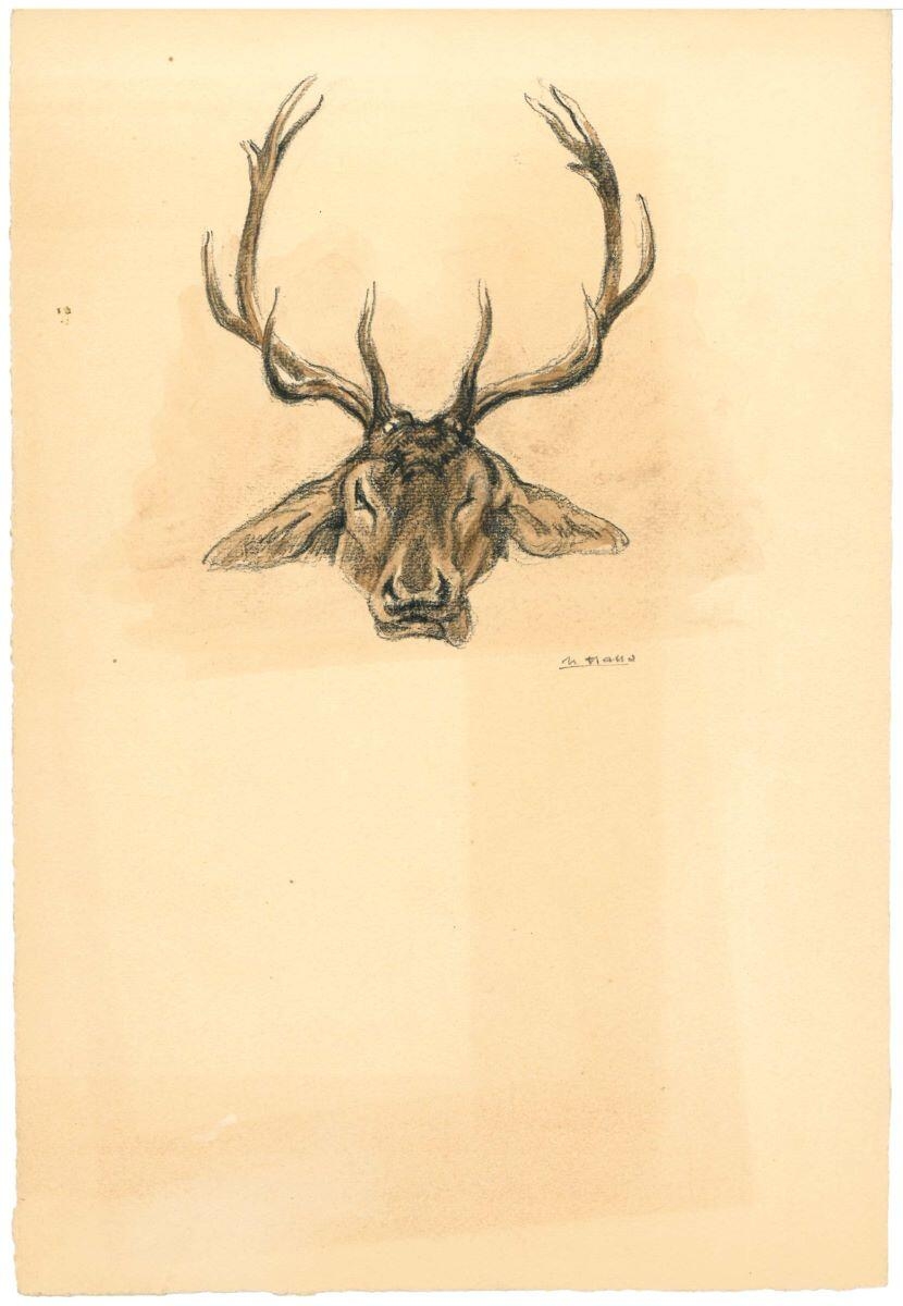 Trophée de cerf