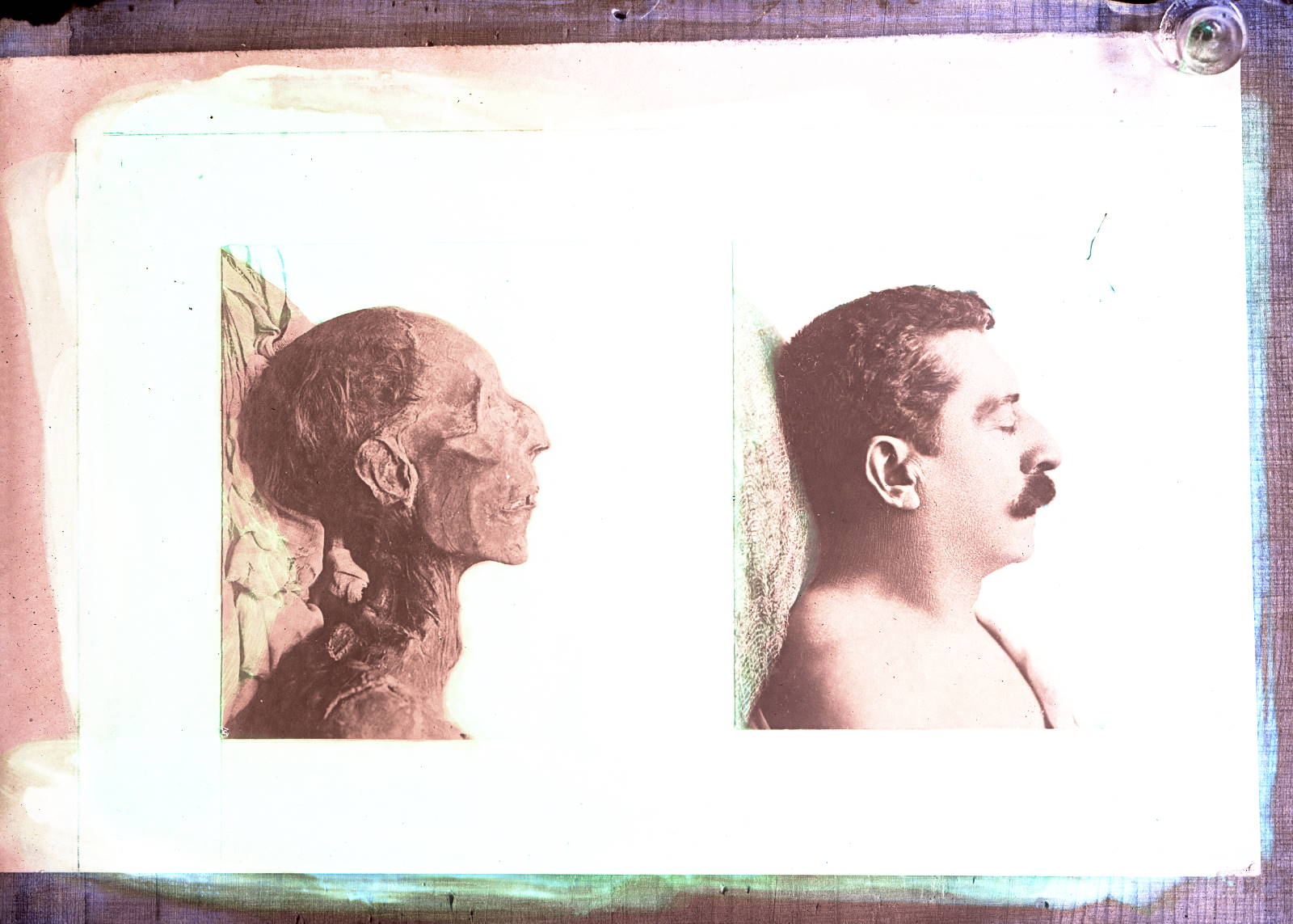 Double portrait de Pierre Loti et Ramsès II (titre factice)