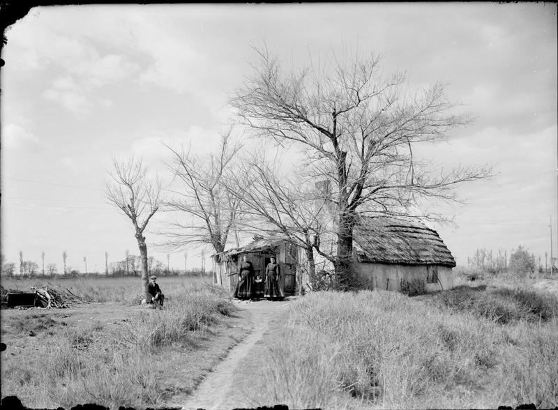 Visite à grand-mère Oreti