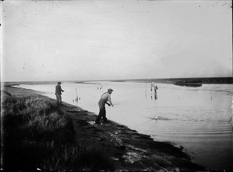 Pêche à l'épervier