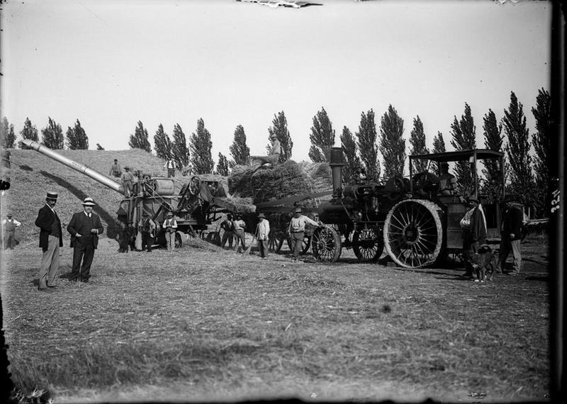 Moisson au mas du Grand Manusclat