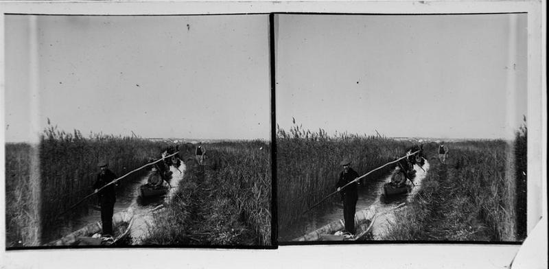 Chasse dans les étangs du Scamandre