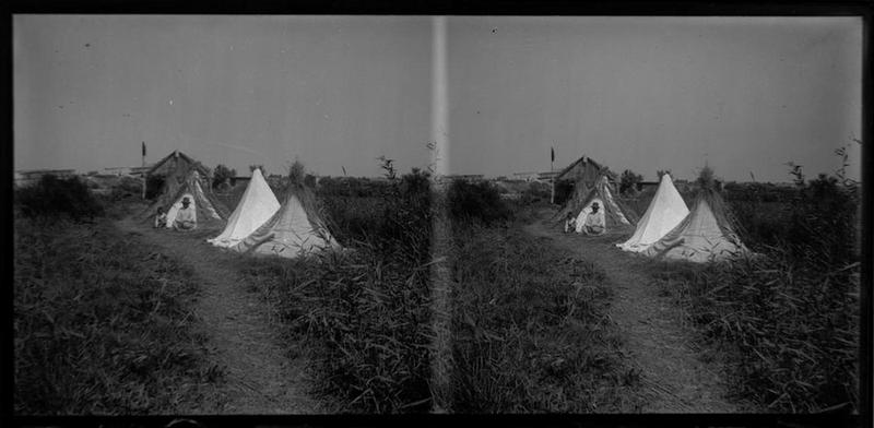 Tipi de sagne