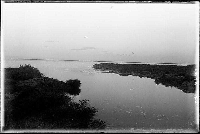 Paysage de basse Camargue