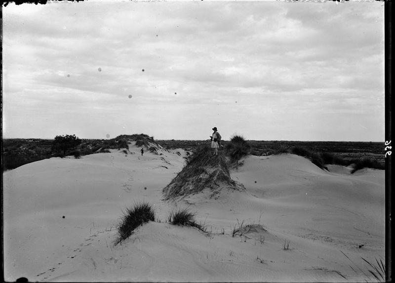 Dunes de Beauduc