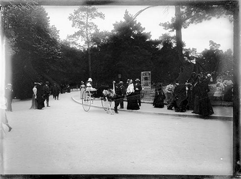 A plumes et à roues