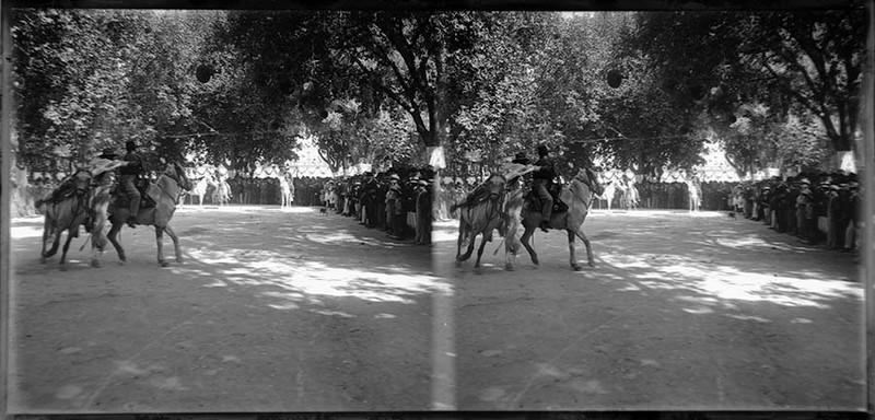 Parade di cherpo