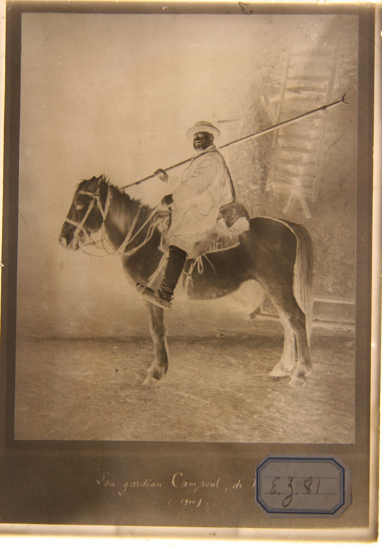 Lou gardian Guillaume Campoul de Marsillargues à cheval