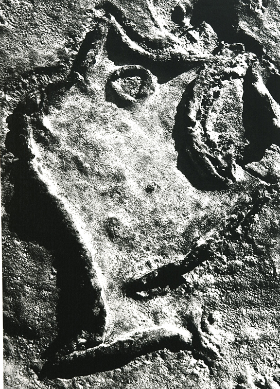 Camargue secrète