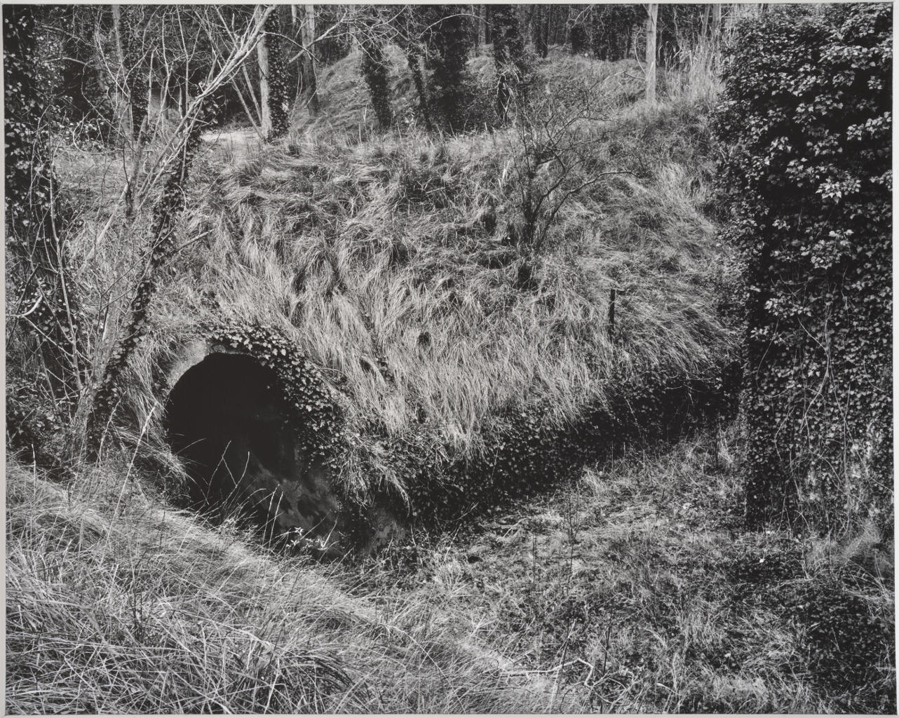 12 janvier 1996 au matin. Ancienne poudrerie de St. Chamas. Talus de défense des stocks de poudre