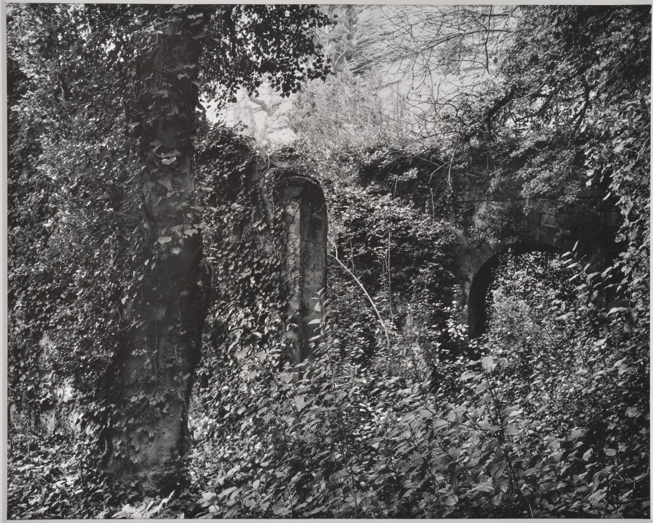 12 janvier 1996 au matin. L'ancienne poudrerie de St. Chamas