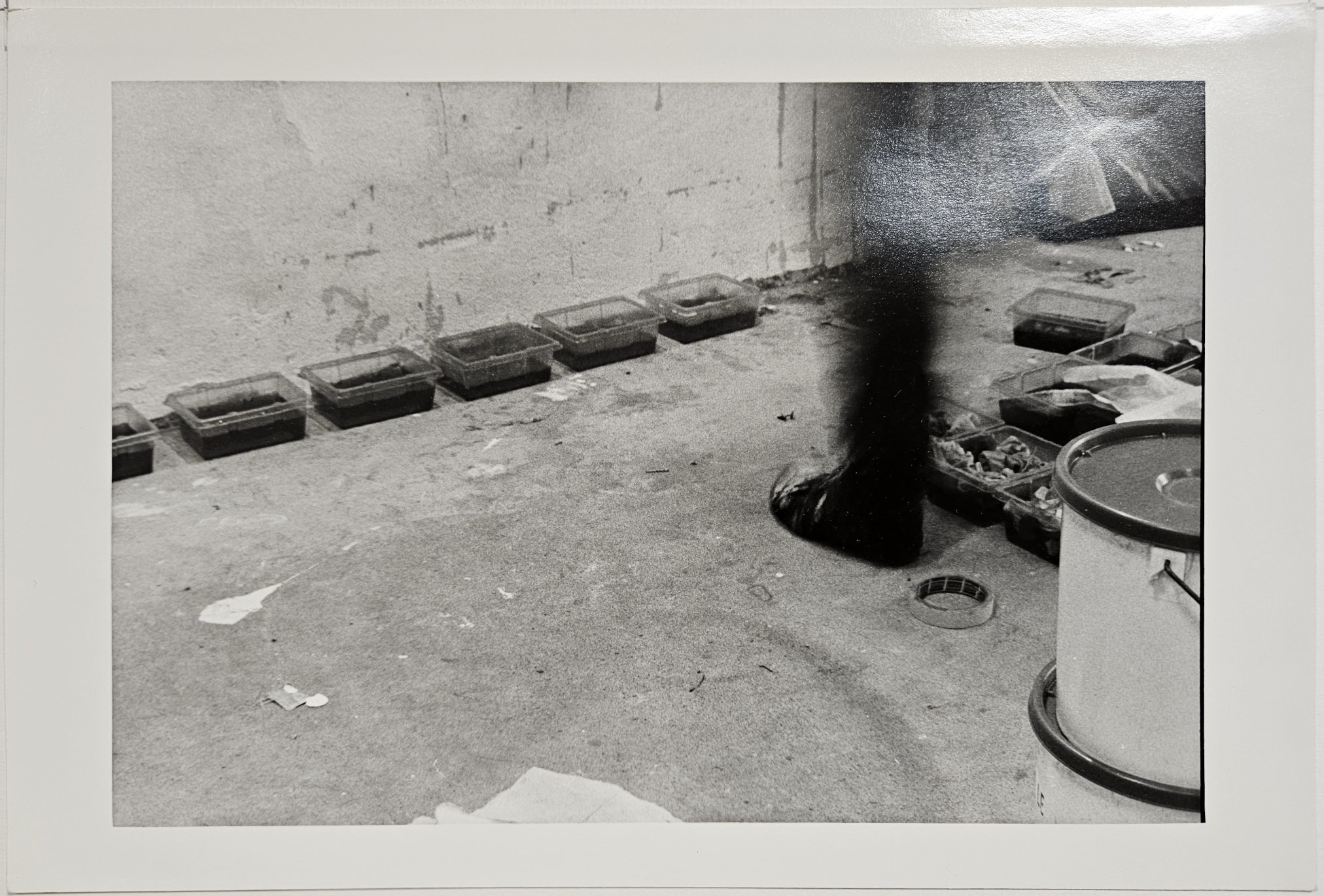 Françoise Goria dans son atelier