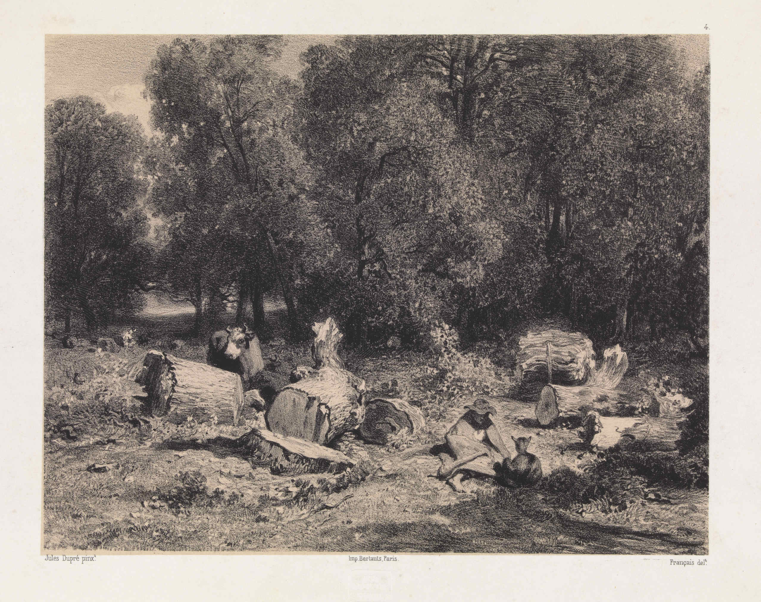 Vaches dans un sous-bois