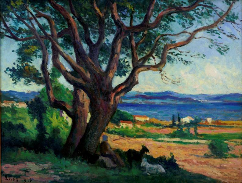 Vue du Golfe de Saint-Tropez