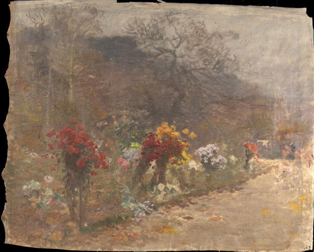 Allée bordée de chrysanthèmes