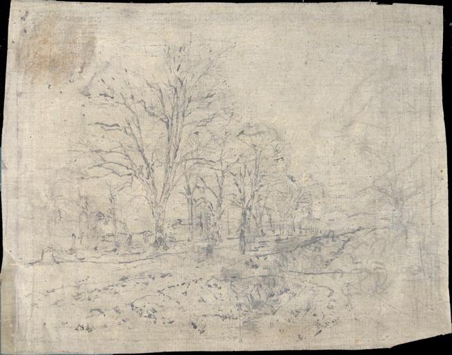 Arbres près d'un cours d'eau