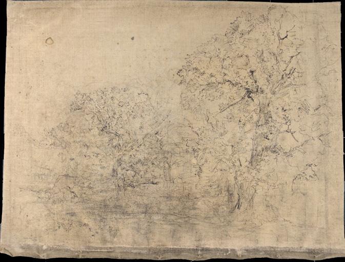 Arbres