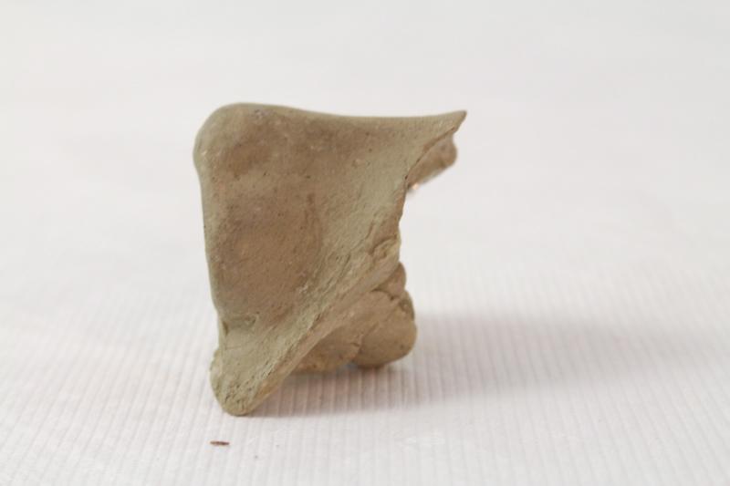 moulage nasal