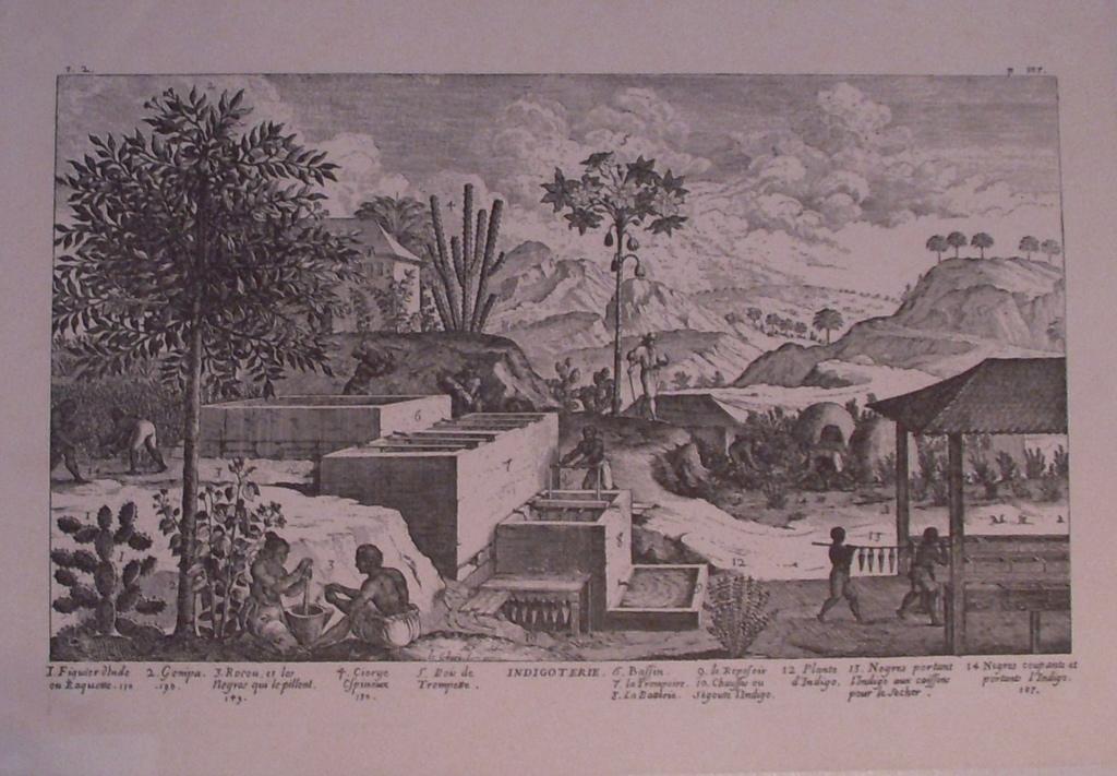 Indigoterie (titre inscrit)