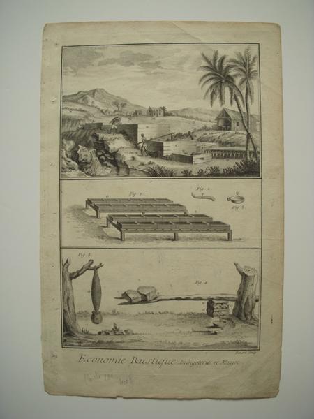 Economie rustique, Indigoterie et Manioc (titre inscrit)