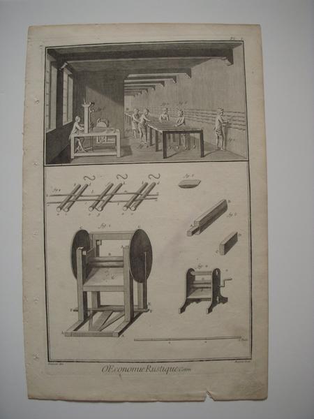 OEconomie rustique, Coton (titre inscrit) / Pl. I