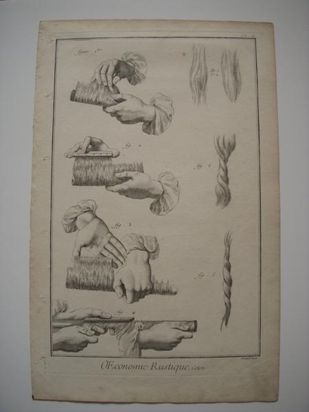 OEconomie rustique, Coton (titre inscrit) / Pl. II