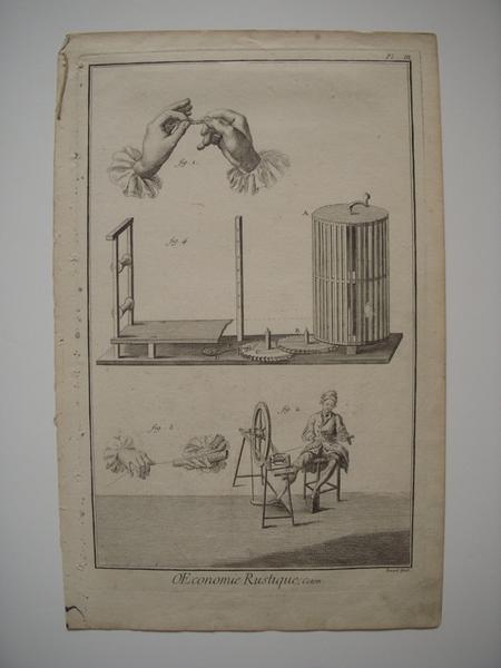 OEconomie rustique, Coton (titre inscrit) / Pl. III