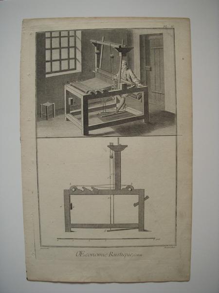 OEconomie rustique, Coton (titre inscrit) / Pl. IV