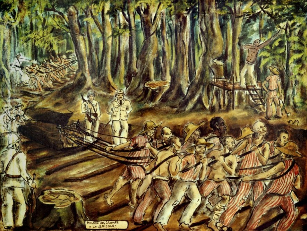 Halage des grumes à la "bricole"