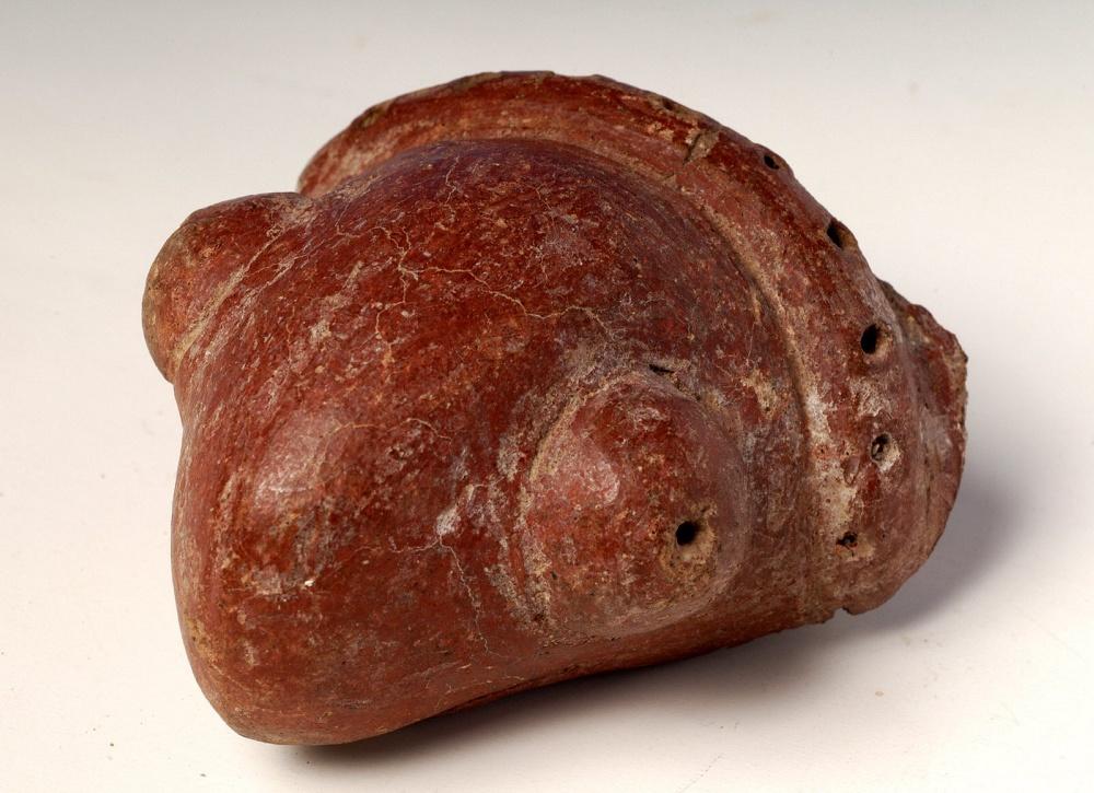 Adorno anthropomorphe