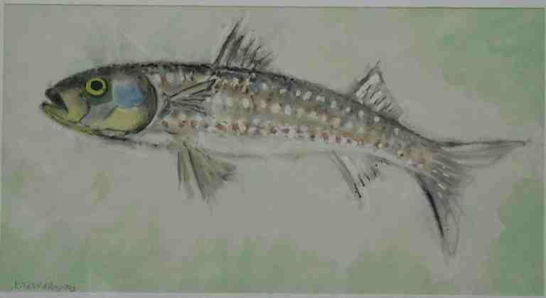 Poisson (France)