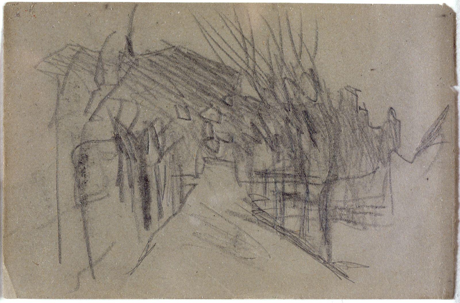 Allée d'arbres