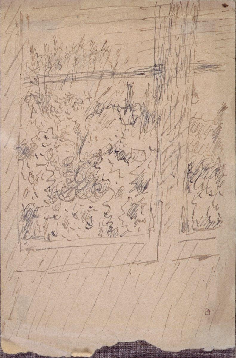 Arbres vus par la fenêtre (titre d'usage)