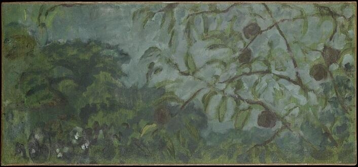 Branche d'arbres