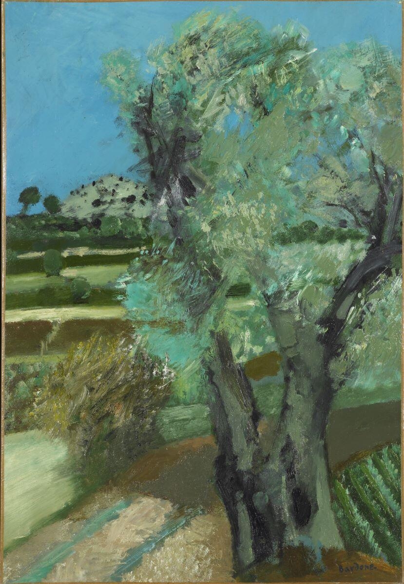 Bandol, olivier
