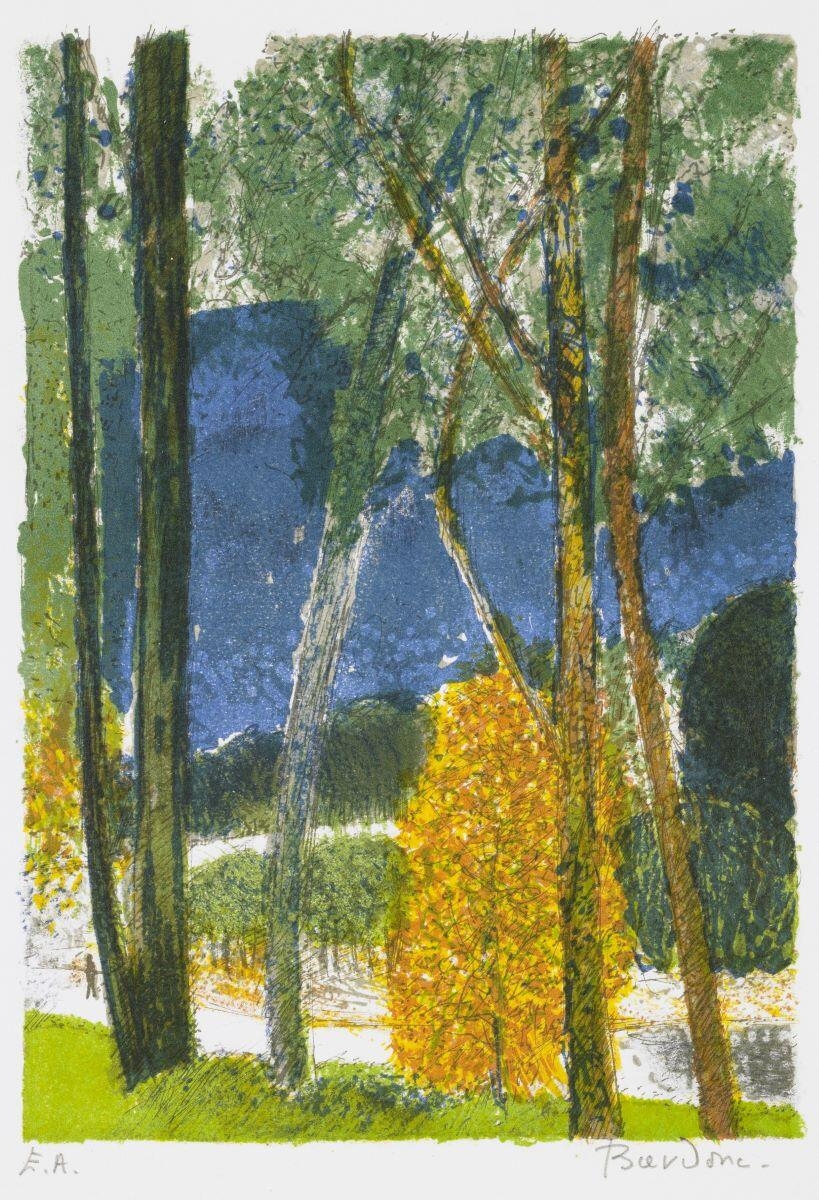 Arbres à Plana