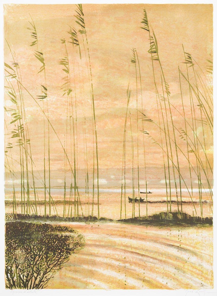 Roseaux au ciel rose, 1977