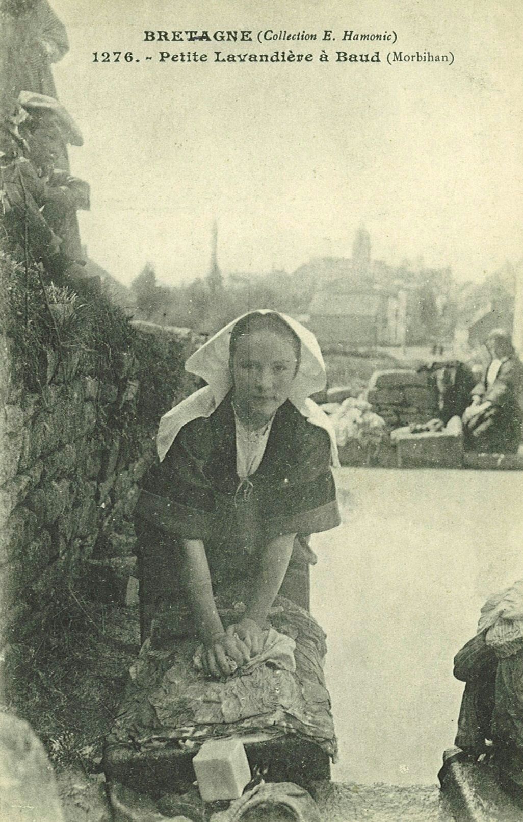 Petite Lavandière à Baud