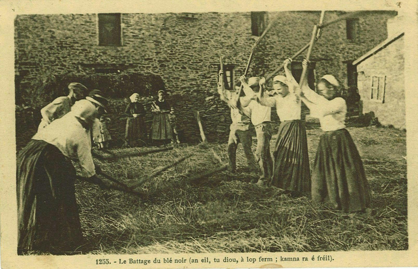 Le Battage du blé noir (an eil tu diou à lop ferm - kamna ra é fréil).