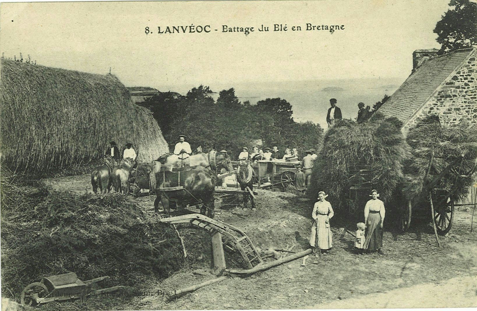 Battage du Blé en Bretagne