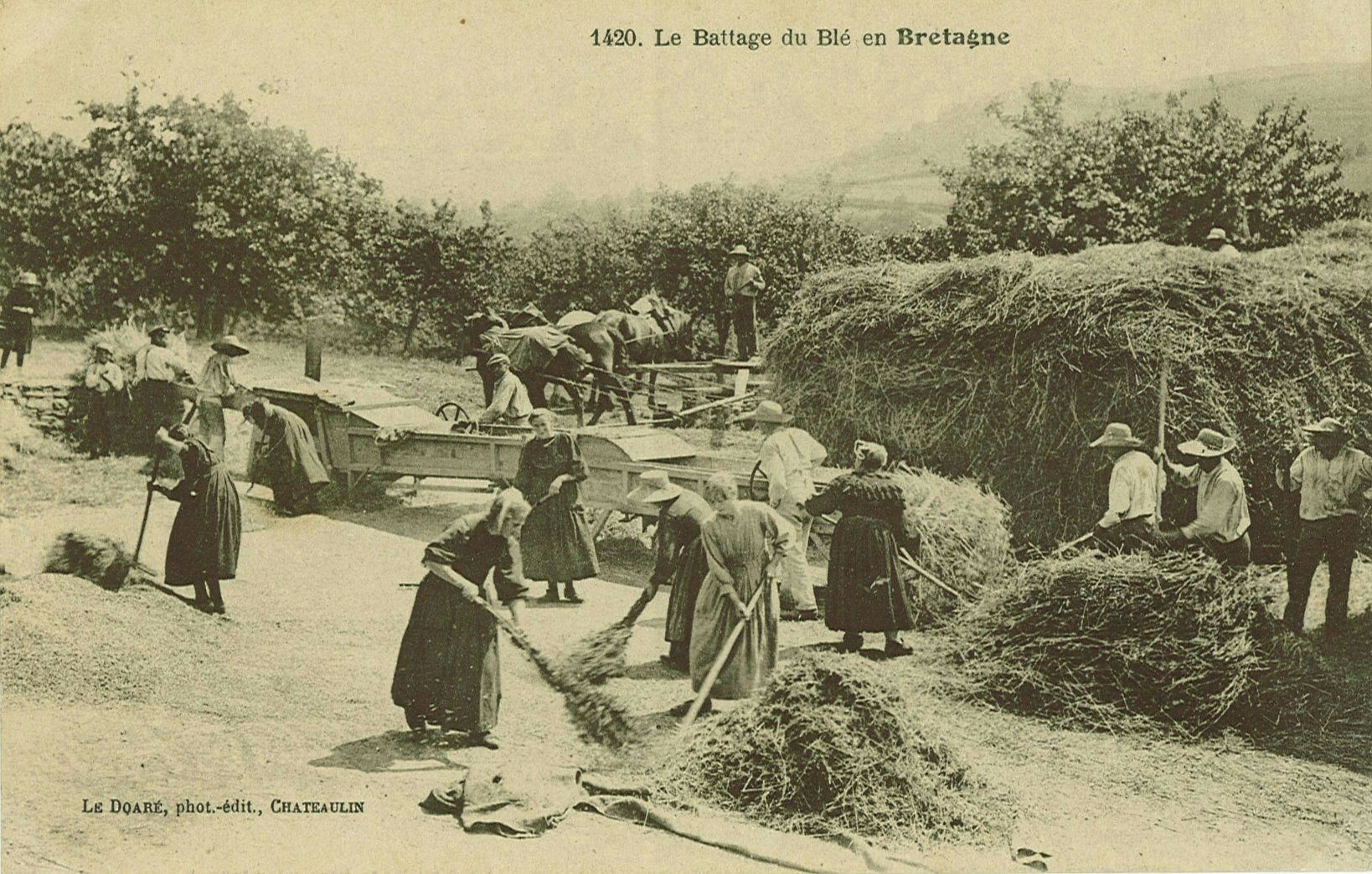 Le Battage du Blé en Bretagne