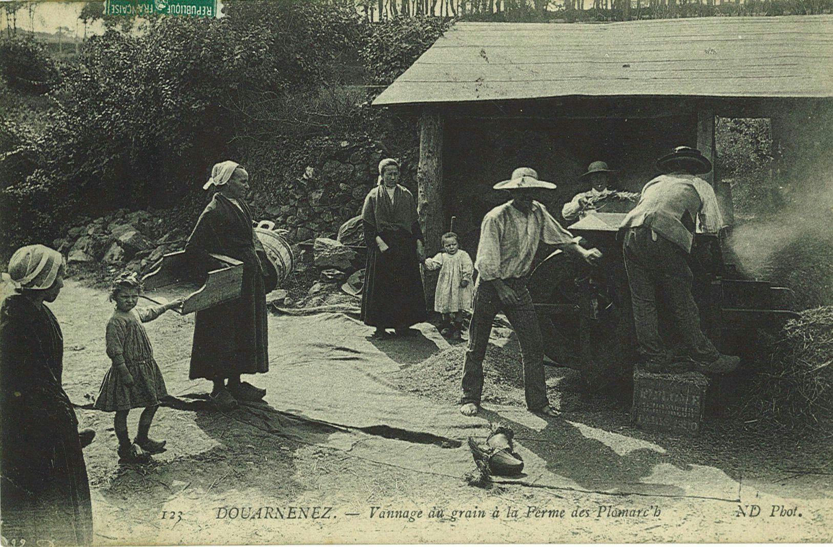 Vannage du grain à la Ferme des Plomarc'h